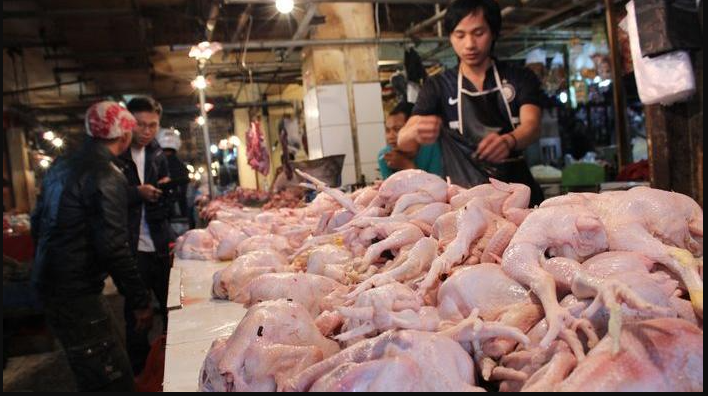 Ilustrasi Harga Daging Ayam Naik (.inet)