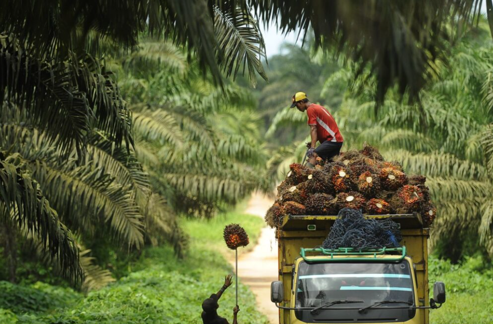 Special Dialogue Dengan Tema Menggapai Sawit Tetap Jadi Andalan Indonesia Saat Dunia Penuh Ketidakpastian
