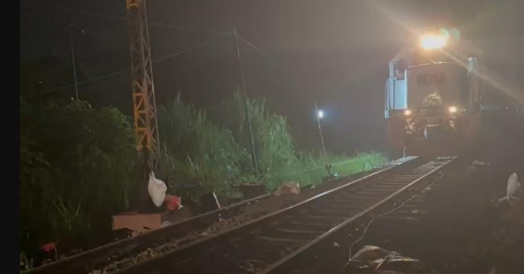 Jalur KA Pandalungan Sidoarjo Dibuka, KAI Batasi Kecepatan